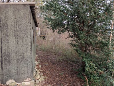 PXL_20251203_124815682