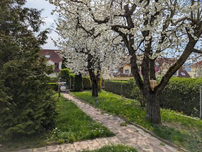 PXL_20250415_124627703