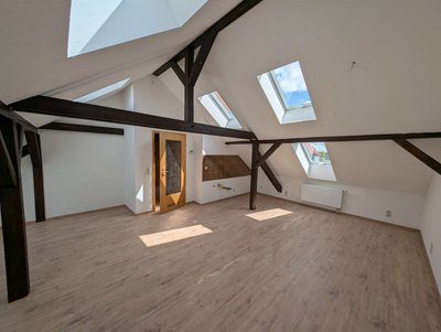 PXL_20250722_094054822