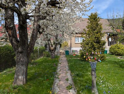 Gartenansicht
