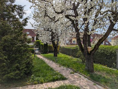 Garten