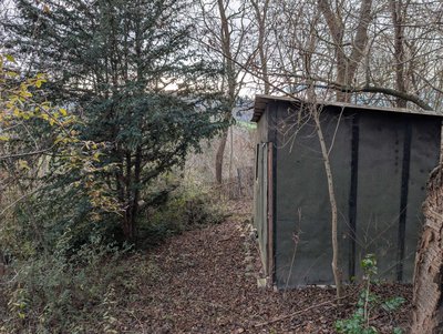 PXL_20251203_124909442