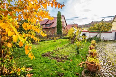 Garten (2) Garten (2)