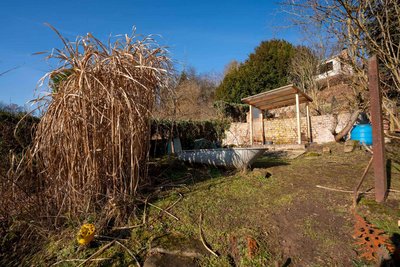 Garten (7)
