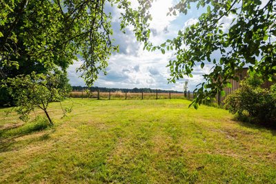 Garten - Wiese