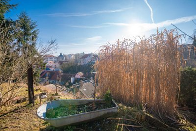 Garten (5)