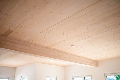 Wohnbereich mit Holzdecke